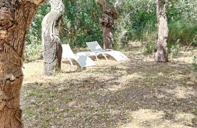 Les Pierres De La Massane