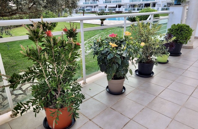 LES PORTELLES Nº1 1ª Línea Playa