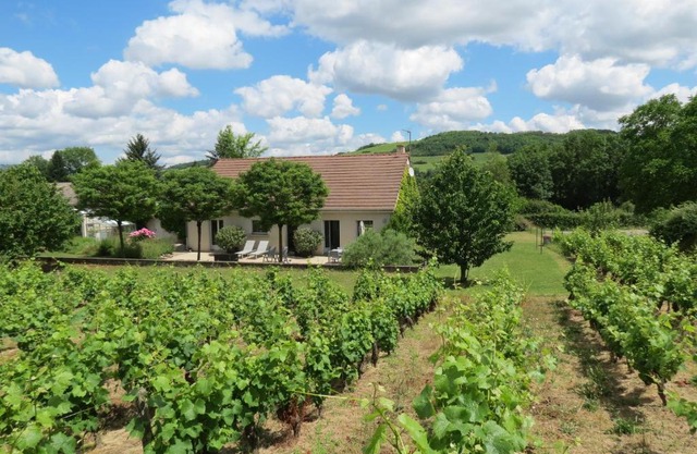Les Vignes de Paris