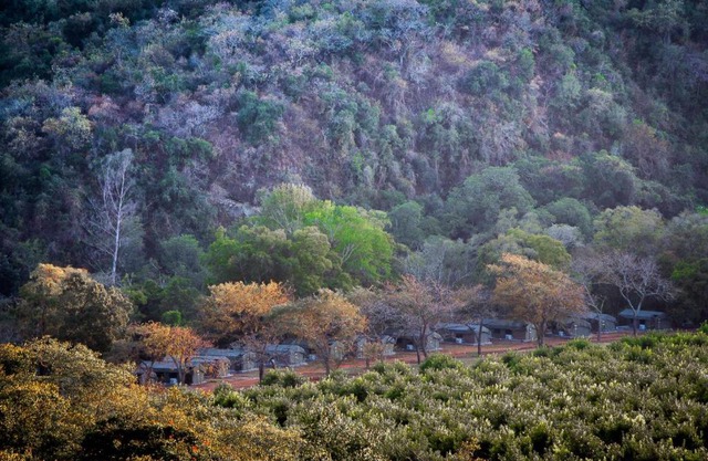 Lions Rock Rapids - Luxury Tented Camp