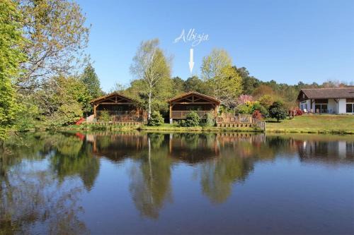 Listed lodge with pool in the heart of the Landes