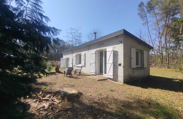 Little house in the woods