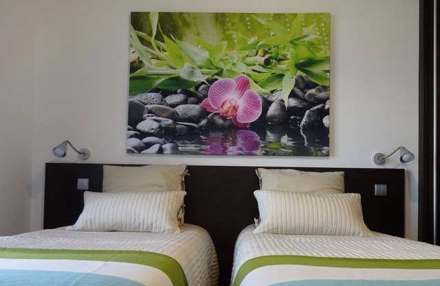 Live, Love & Feel Oporto