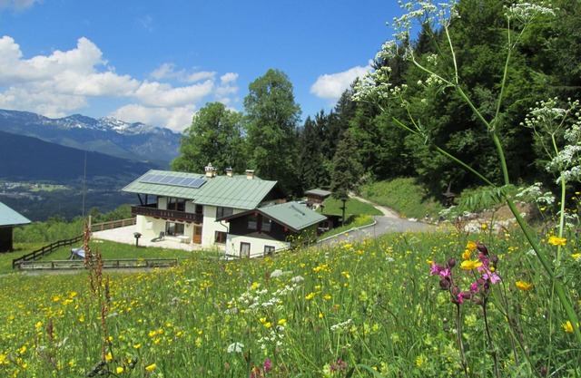 Living at one level with the gigantic mountain panorama and alpine landscape
