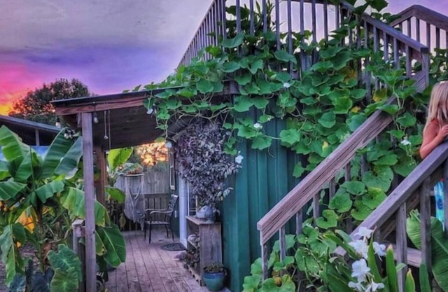 Lizzy Lou's Flower House - The Bluebelle
