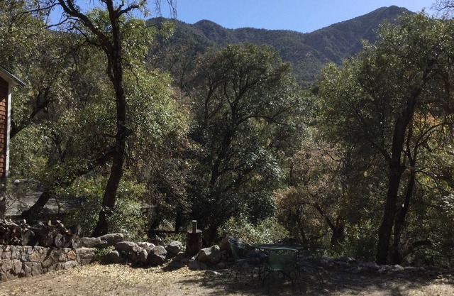 Located in the heart of Madera Canyon, a Southern Az top birding destination