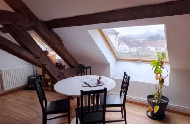 LOCATED ON THE BANKS OF THE SAONE, THIS APARTMENT IS IDEAL FOR DISCOVERING THE REGION.