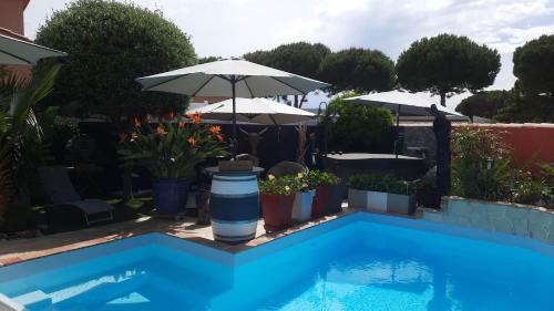 Location Chambre d'hôtes Grau du Roi Mas des Marines Piscine Adult only