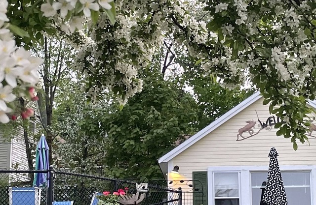 Location, Location, Location! Weirs Beach
