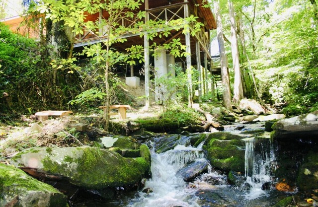 Log Cabin, Hot Tub, Fire Pit, Roaring Creek