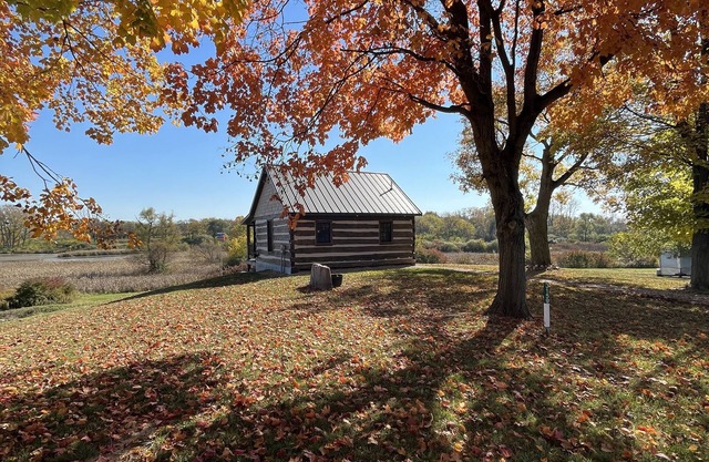Log Cabin overlooking wetland reserve
