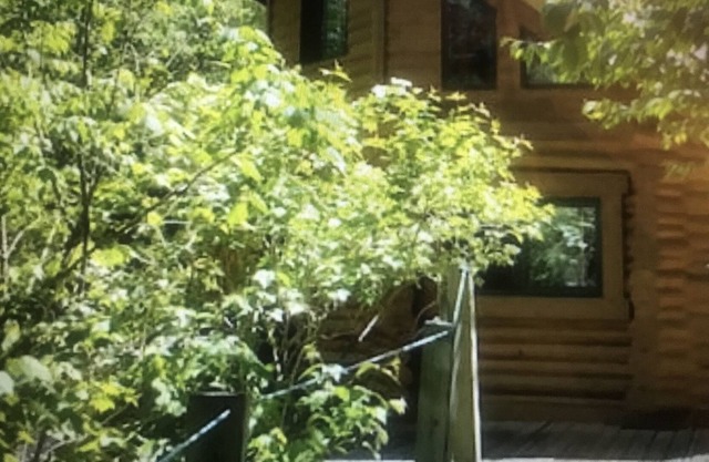 Log cabin!!