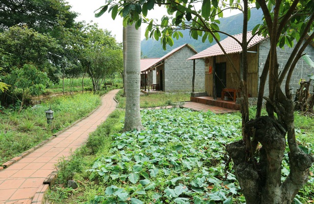 Long Phuong Homestay