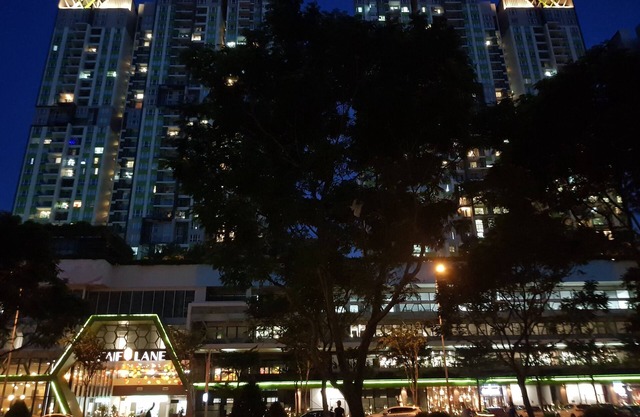 Long-term living for expats