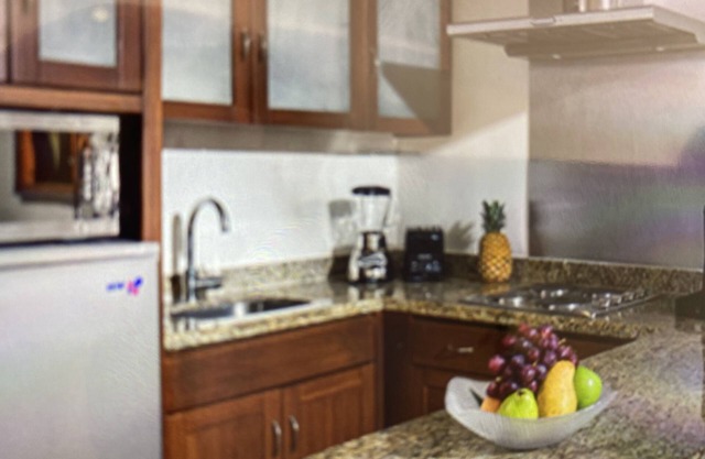 Los Cabos Grand Mayan 1 BR on the beach