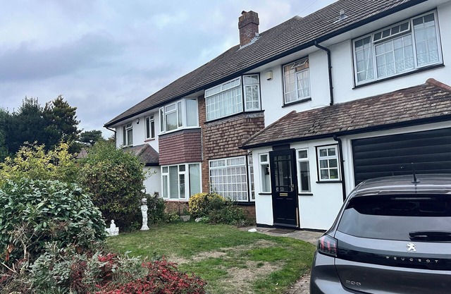 Love and Peace Petts Wood