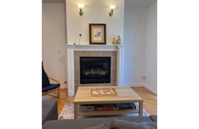 Lovely 3 Bedroom Condo near University of Chicago & The McCormick Convention