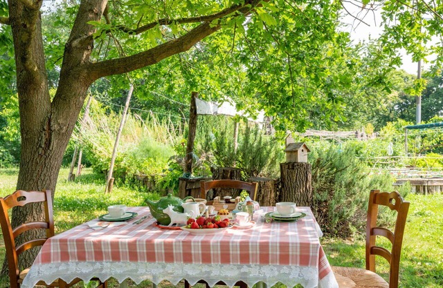 Lovely apartment for 3 guests with WIFI, TV, terrace and pets allowed