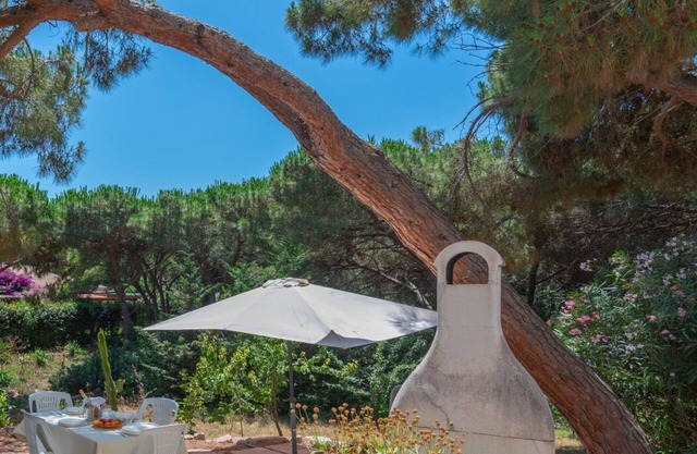 Lovely apartment for 4 people with A/C, WIFI, TV, patio and pets allowed