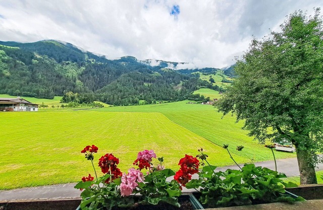 Lovely apartment for 8 people with balcony