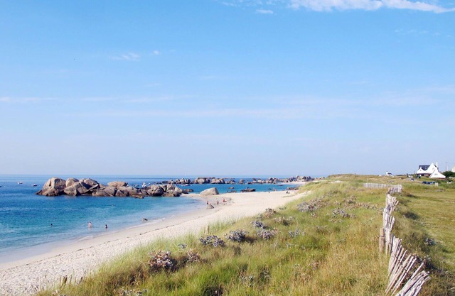 Lovely apartment for 2 guests with WIFI, TV, patio and pets allowed