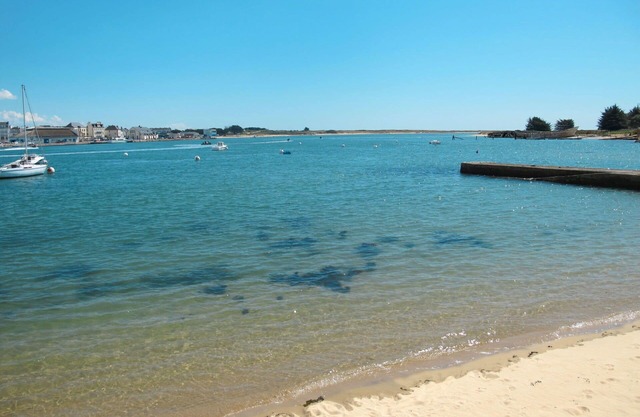 Lovely apartment in villa for 4 people with WIFI, TV, terrace, pets allowed and parking