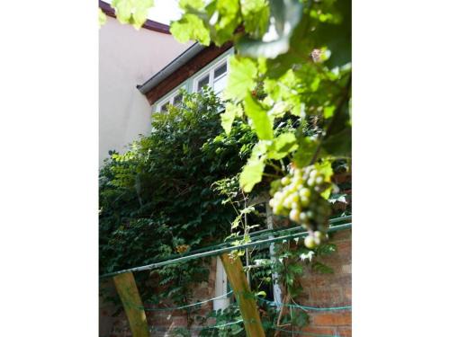 Lovely apartment in Quedlinburg