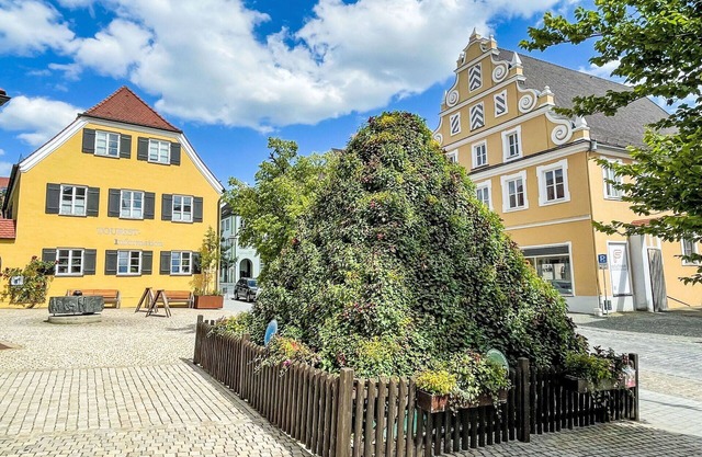 Lovely apartment in villa for 4 guests with A/C, WIFI, TV, terrace and pets allowed