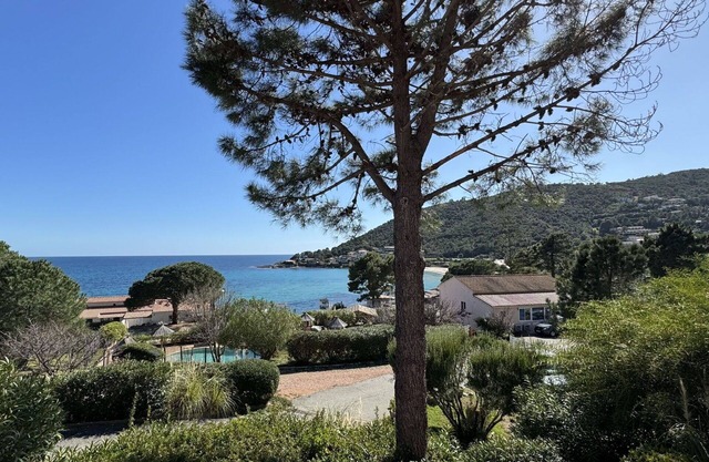 Lovely apartment with A/C, pool, WIFI, terrace, pets allowed, panoramic view and parking