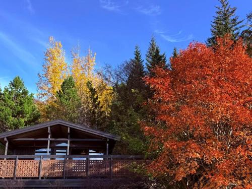 Lovely Cabin in the Capital Area with hot tube