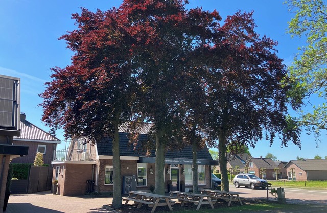 Lovely velvet vacation home (under the beech)
