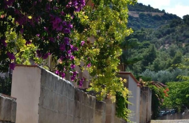 lovely weeks in Pugnochiuso - the pearl of Gargano