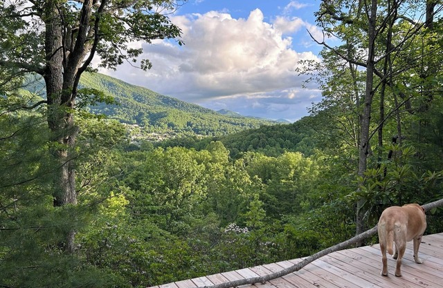 Lover’s Lookout is a treetop retreat /perfect for a romantic escape.