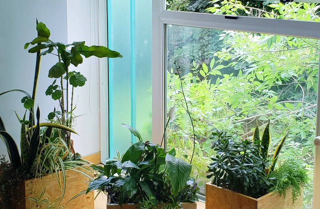 Luminoso semipiso en La Plata 3 personas con cochera ideal coworking