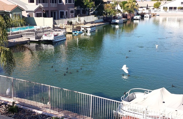 Lux resort: Heated pool , pontoon boat , paddle boat and fishing. new A/C's