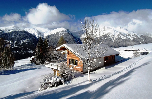 Luxurious chalet 12/16pp 250M2 La Plagne renovated in 2013. Ski in - ski out