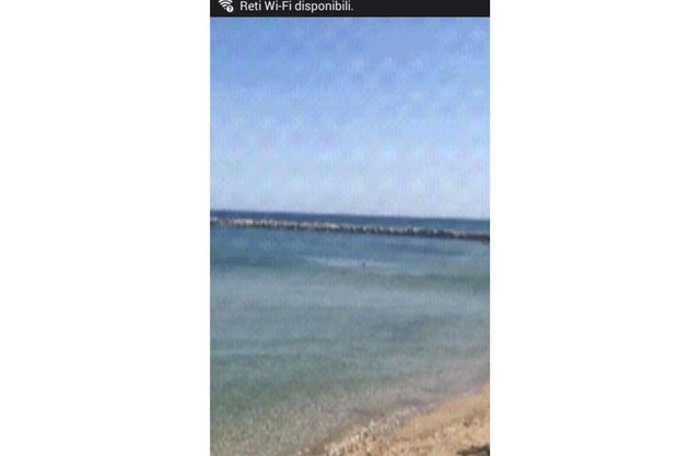 Luxury apartment along the sea