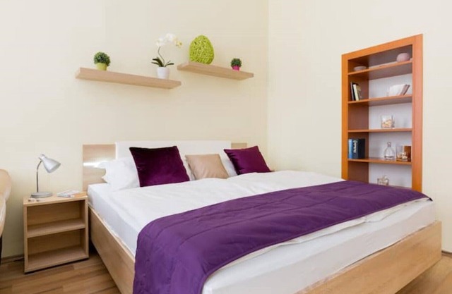 Luxury apartment in the city center