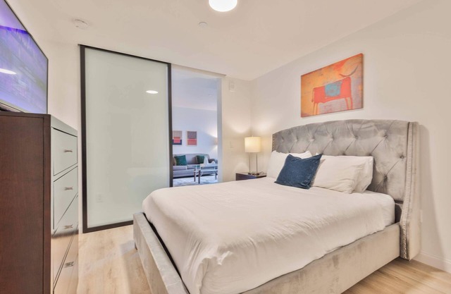 Luxury Apt with Kitchen Gym and Lounge
