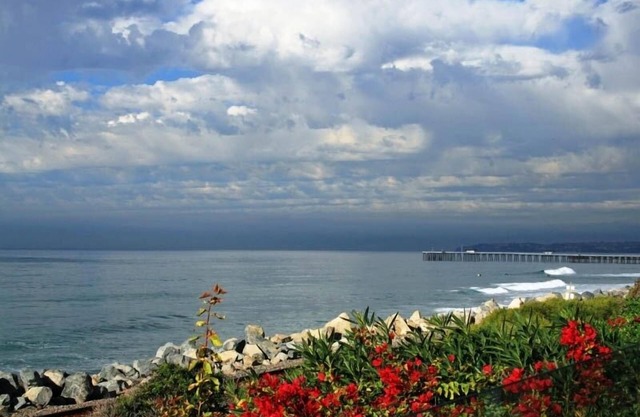 Luxury Beachfront Single Story, Spa, Deck, Walk to Pier & Surf