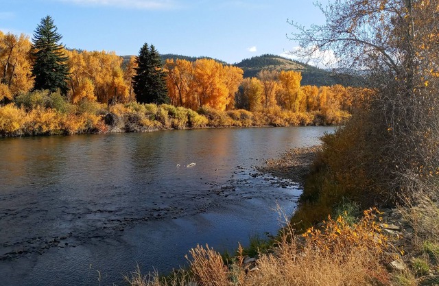 Luxury Cabin on the Upper Rio Grande River