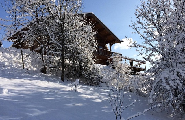 Luxury chalet, fast access to Avoriaz slopes, 7 mins walk to Morzine center