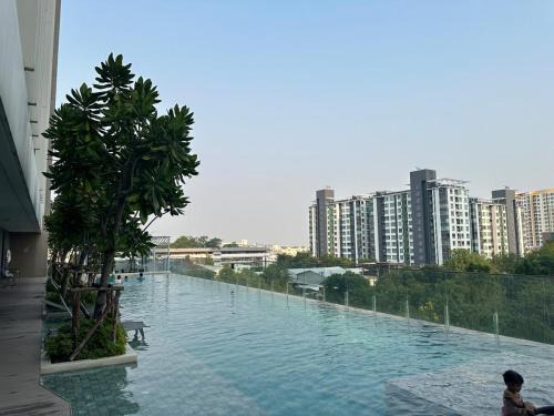 Luxury condo - BTS Punnawithi - Pool, Gym, Sauna