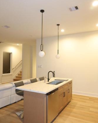 Luxury Home in Downtown Houston!