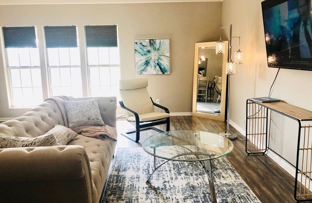 Luxury Modern 1 Bed/1 Bath Condo