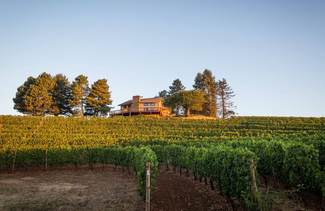 Luxury Wine Country Retreat