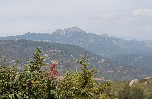 Macchie e Fiori