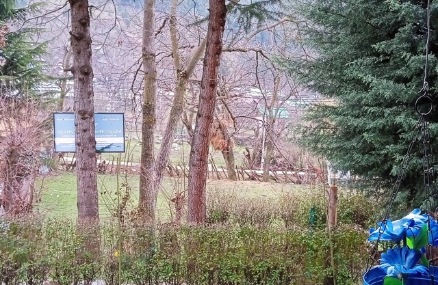 Magic Himalayan Cottage