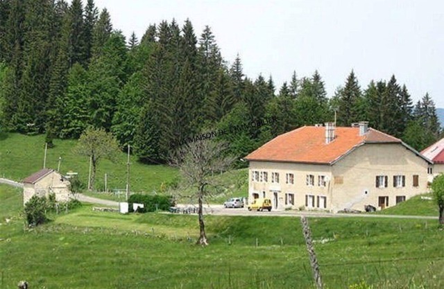 Magnificent house