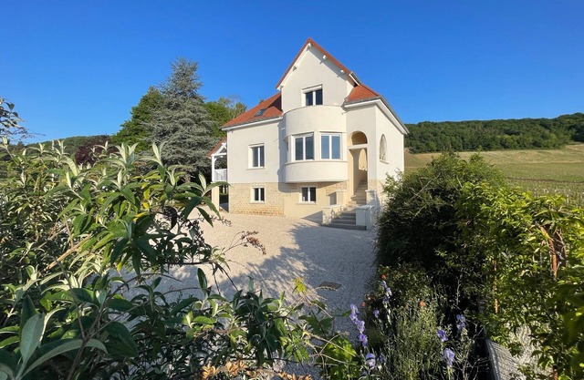 MAGNIFICENT VIEW HOUSE PARADISIAC IN THE MIDDLE OF VINES OF BOURGOGNE